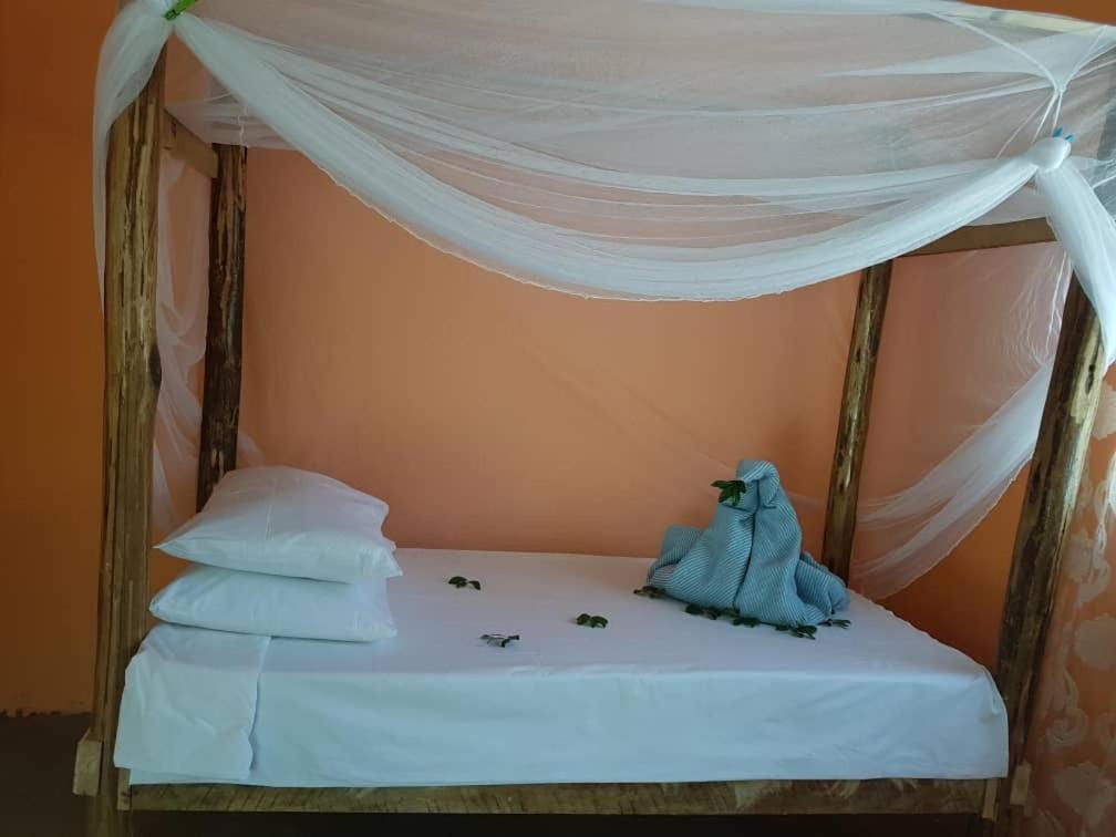Michamvi Dreams Of Mapacha Bed & Breakfast エクステリア 写真