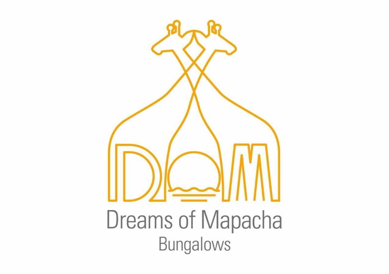 Michamvi Dreams Of Mapacha Bed & Breakfast エクステリア 写真